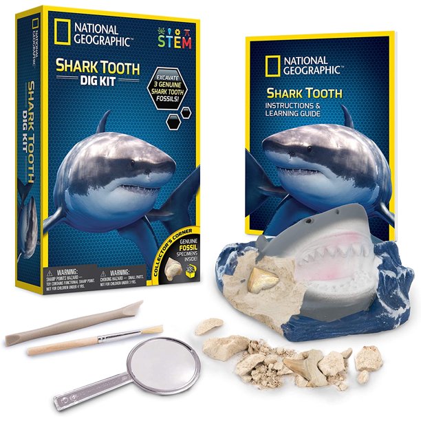 National Geographic Shark Tooth Dig Kit, Excava 3 fosiles re NATIONAL GEOGRAPHIC NATIONAL GEOGRAPHIC