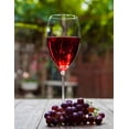 thumbnail image 2 of Vino tinto Undurraga merlot 750 ml, 2 of 2
