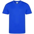 thumbnail image 1 of AWDis - Camiseta infantil modelo Cool (Azul eléctrico) AWDis UTPC3069_royalblue, 1 of 1
