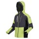 thumbnail image 3 of Regatta - Chaqueta Impermeable Highton IV para Niños/Niñas (Gris Seal, Algas Verdes) Regatta UTRG9162_sealgreygreenalgae, 3 of 4