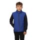 thumbnail image 3 of Regatta - Chaleco Ablaze de Softshell para Niños/Niñas (Real New, Marino) Regatta UTRG9343_newroyalnavy, 3 of 3