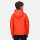thumbnail image 3 of Regatta - Chaqueta Aislante Spyra II Camuflaje para Niños/Niñas (Naranja Cajún, Ceniza) Regatta UTRG6164_cajunorangeash, 3 of 6