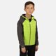 thumbnail image 2 of Regatta - Chaqueta Kielder IV Caminar para Niños/Niñas (Lima Eléctrico, Gris Imán) Regatta UTRG5586_electriclimemagnetgrey, 2 of 5