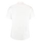 thumbnail image 2 of Kustom Kit - Camisa de manga corta Modelo Business City - Trabajo/Boda/Fiesta (Blanco) Kustom Kit UTBC1448_white, 2 of 2
