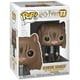 thumbnail image 1 of Pop Hermione Granger Gato FUNKO Harry Potter Pelicula, 1 of 2