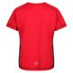 thumbnail image 3 of Regatta - Camiseta Beijing para Niños/Niñas (Rojo Clásico, Negro) Regatta UTRG4109_classicredblack, 3 of 3