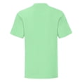 thumbnail image 2 of Fruit of the Loom - Camiseta para Niños/Niñas (Verde menta) Fruit of the Loom UTBC4731_mintgreen, 2 of 3