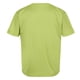 thumbnail image 2 of Regatta - Camiseta Alvarado VII Fundado para Niños/Niñas (Algas Verdes) Regatta UTRG9495_greenalgae, 2 of 3