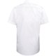 thumbnail image 2 of Premier - Camisa lisa de manga corta de caballero/hombre Diseño piloto - Trabajo/Fiesta/Restaurante Premier UTRW1086_white, 2 of 5