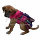 thumbnail image 1 of Vestido para perro Talla 5 Perron Moda para Perro Vestido regional2 talla 5, 1 of 1